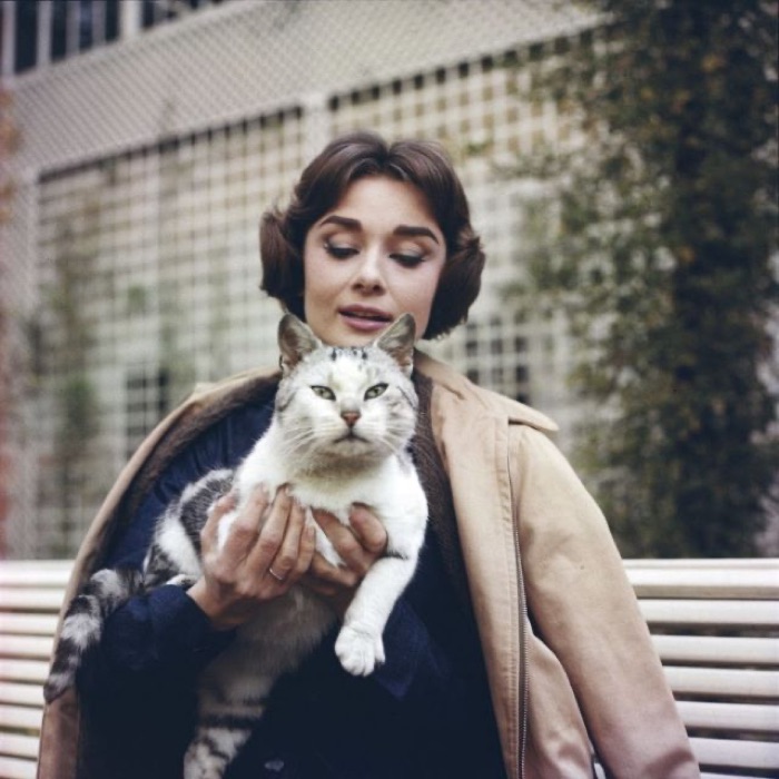 Audrey Hepburn in Warm Beige