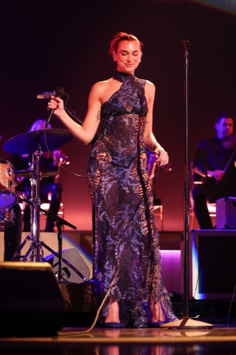 Dua Lipa wearing Deep Navy