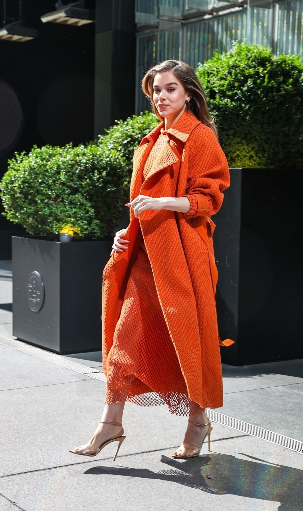 Hailee Steinfeld wearing Rust Orange