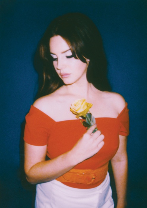 Lana Del Rey wearing Copper