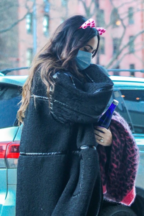 Megan Fox in Camel