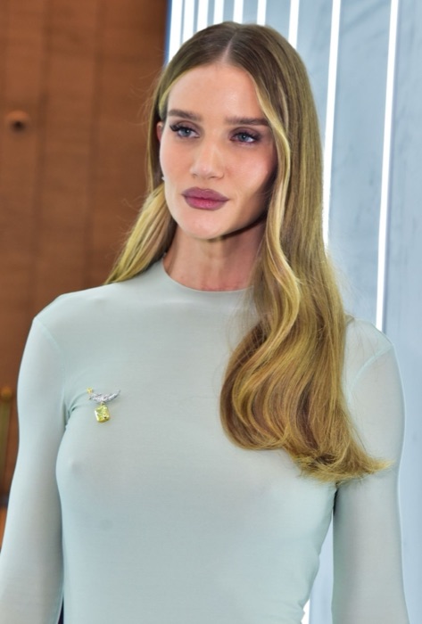 Rosie Huntington-Whiteley wearing Pale Aqua