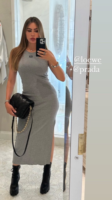 Sofia Vergara in Pure Grey