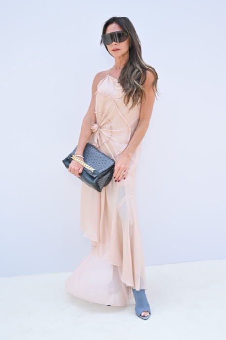 Victoria Beckham wearing Champagne