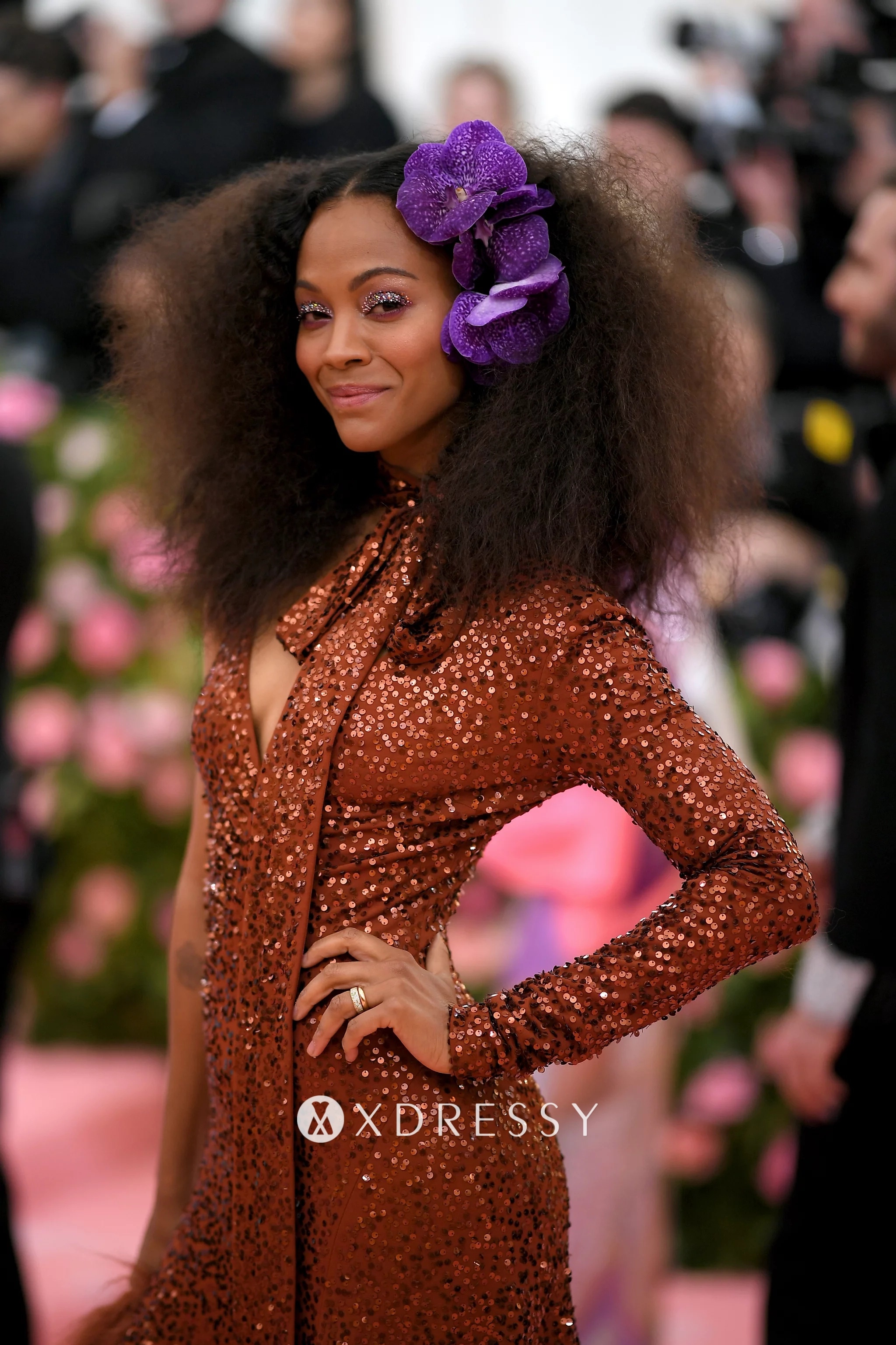 Zoe Saldana wearing Copper